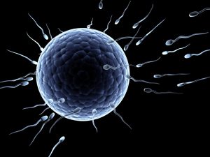 Sperm Hacmi Nasıl Artırılır?